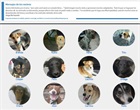 Red de adopción de mascotas